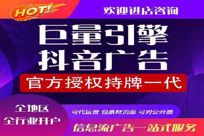 某电商平台的SEM运营实战与效果分析
